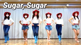 Sugar, Sugar Linedance / Beginner,Intermediate / 슈가슈가 초중급 라인댄스