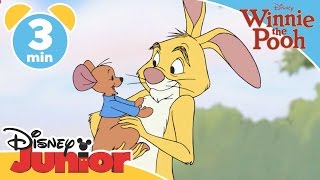 The Mini Adventures of Winnie the Pooh | Kanga and Roo Move In | Disney Junior UK
