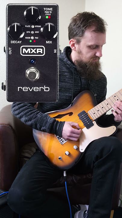 Boss RV-6 VS MXR Reverb
