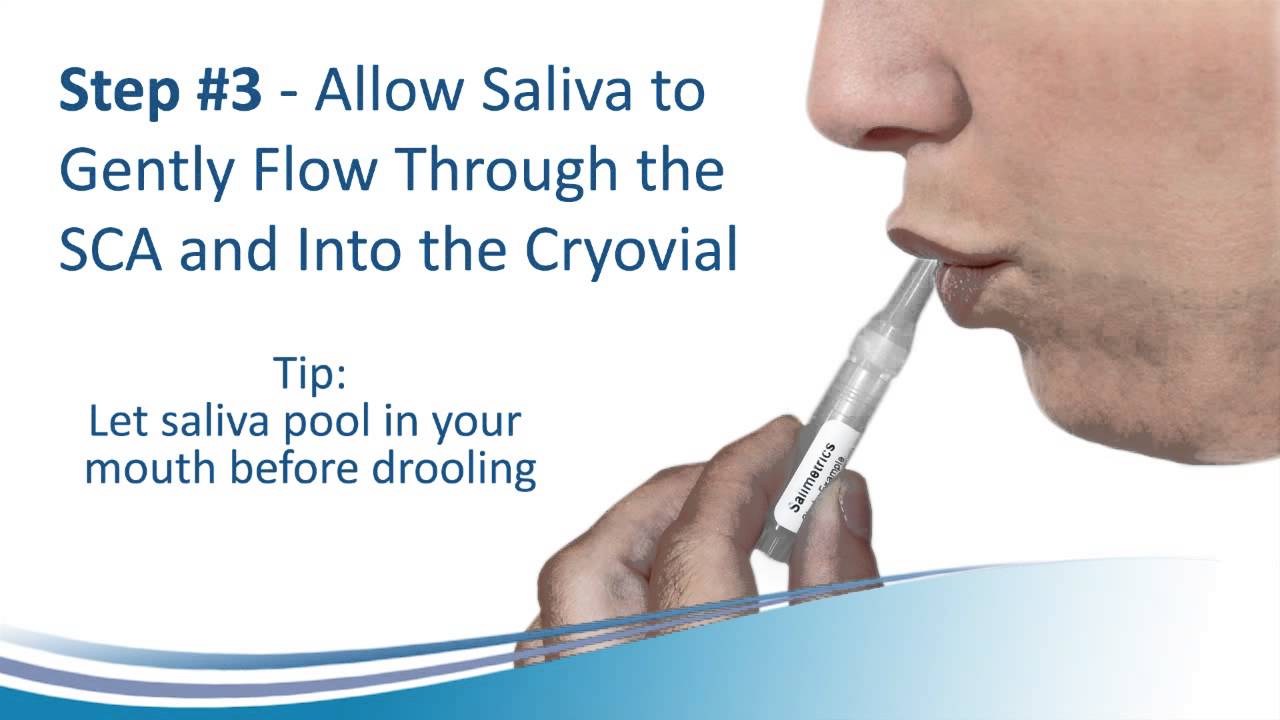 Passive Drool Collection With The Saliva Collection Aid SCA YouTube Passive Drool Collection With The Saliva Collection Aid SCA YouTube