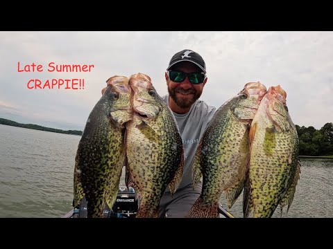 Fishing BRUSHPILES For LATE Summer CRAPPIE!