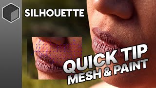 Quick Tip for Silhouette: PowerMesh Workflow for Stabilized Paint