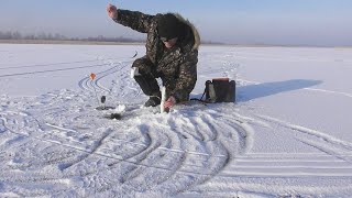 Вот это рыбалка!Флажки горят,жерлицы работают!