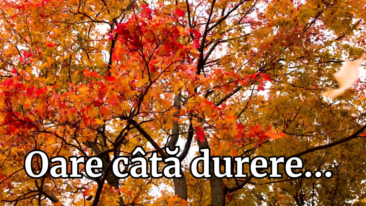 Oare câtă durere? – Cântec emoționant despre suflet, lacrimi și puterea de a renaște 
