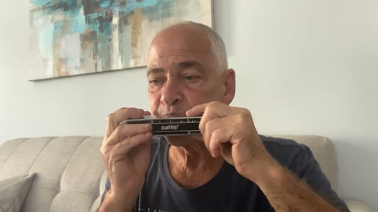 Lenny Blue Chromatic harmonicas East-top  vs Suzuki