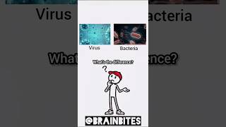 Virus needs you. Bacteria doesn’t 😳