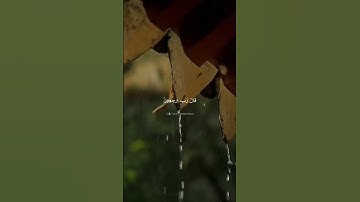 هدوء تام وتألق للقاريء سعود الفايز #تلاوات_خاشعة #راحة_نفسية #قرآن #كريم #هدوء #satisfying #ريلز