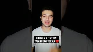 Hayvanlar Dünyayı Nasıl Görürler