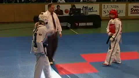 Trelleborg Open Taekwondo Championships 2008 Swede...