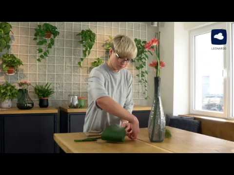 Video: Gerbera In Einer Vase Aufbewahrenvas