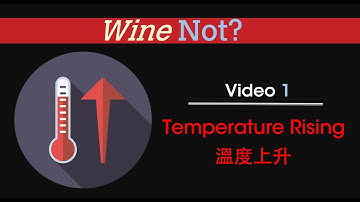 Wine Not? Video 1 • Temperature Rising 溫度上升（中英雙字幕）