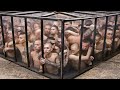 World&#39;s Toughest Prisons (20% of Inmates Die There)