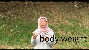 LMCW2022 Data Management and Analytics | Task 1