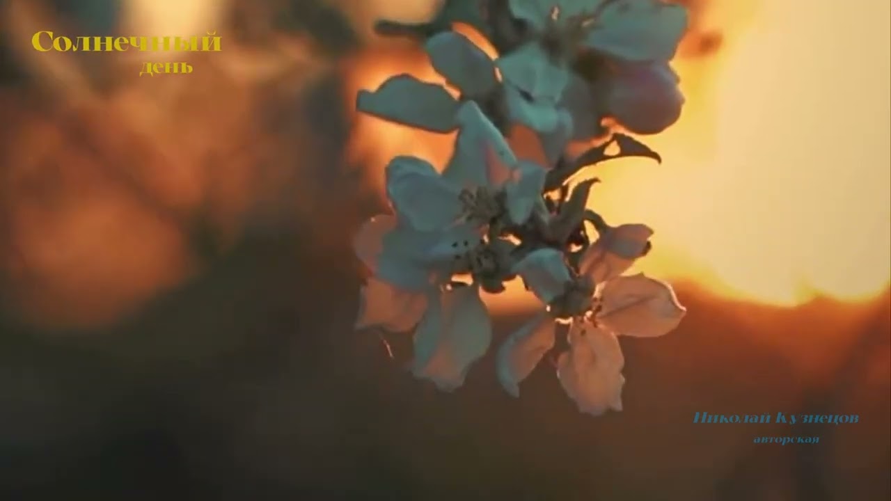 Солнечный день #утро#радость#дети#счастье#солнце#природа