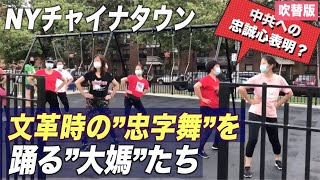 〈吹替版〉中共官製メディア 「反共闘士」の動画を無断使用