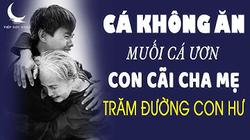 Cá Không Ăn Muối Cá Ươn, Con Cãi Cha Mẹ Trăm Đường Con Hư Bài Học Cuộc Đời Nghe Đến Đâu Đau Đến Đó