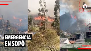 Incendio en Sopó: la conflagración se presenta cerca a zonas urbanas | El Espectador