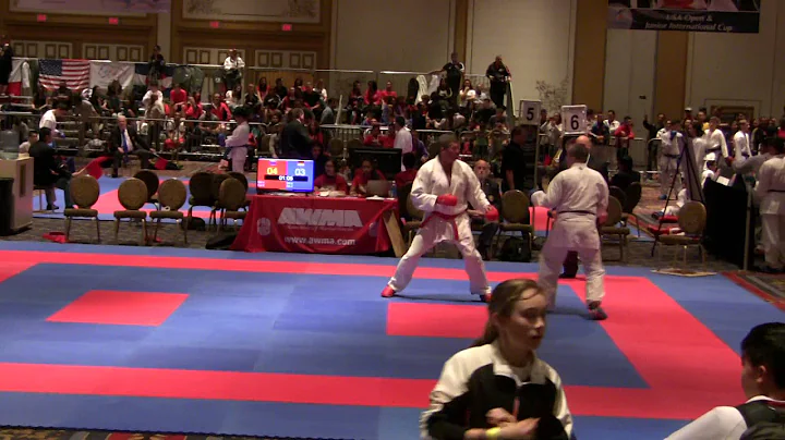 2016 US Open Finals - Fred Erickson