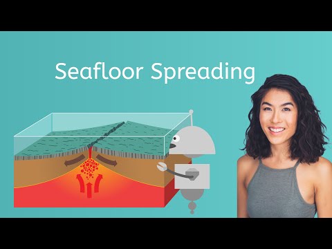 Video: Ano ang sediments sa seafloor?