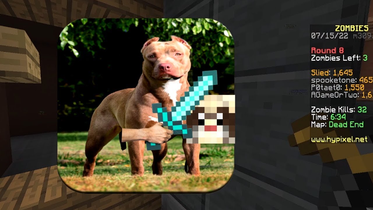 slies vs dog - Hypixel Zombies Dead End #7