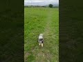 The Celtic One 18 month Update.