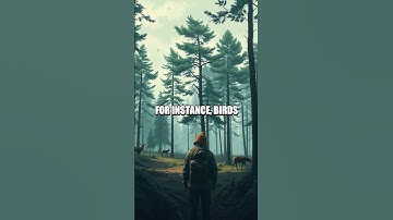 Navigating Survival Through Natural Indicators