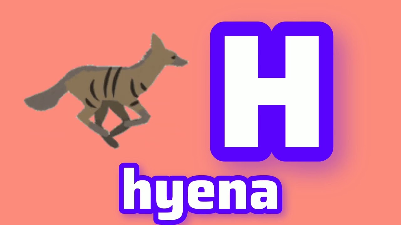 Animals Alphabet Inshot And Friends 