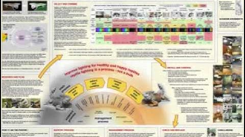 Reptile Uv Lighting -Understanding Lighting.