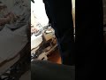 סאשעל מידיא רודערט איבער צוויי אידישע פרויען וואס זענען ארעסטירט געווארן סאשעל מידיא רודערט איבער צוויי אידישע פרויען וואס זענען ארעסטירט געווארן