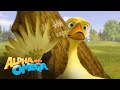 'Golf' Scene | Alpha and Omega