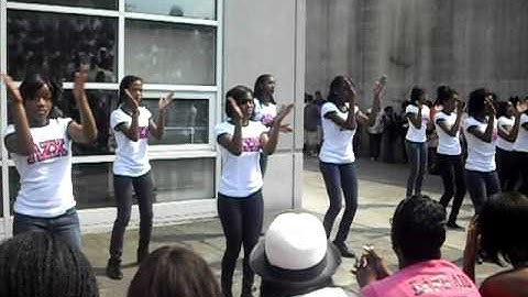 Lambda  zeta  chi sisters probate