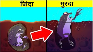 दुनिया के सबसे अद्भुत और शानदार जानवर | Most Amazing Animals In The World