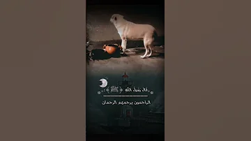 دعاء الرفق بالحيوان السعودية الحيوانات Motivation تصميم الرفق بالحيوان 