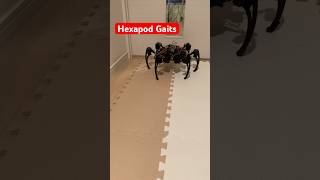 Spider robot crawling