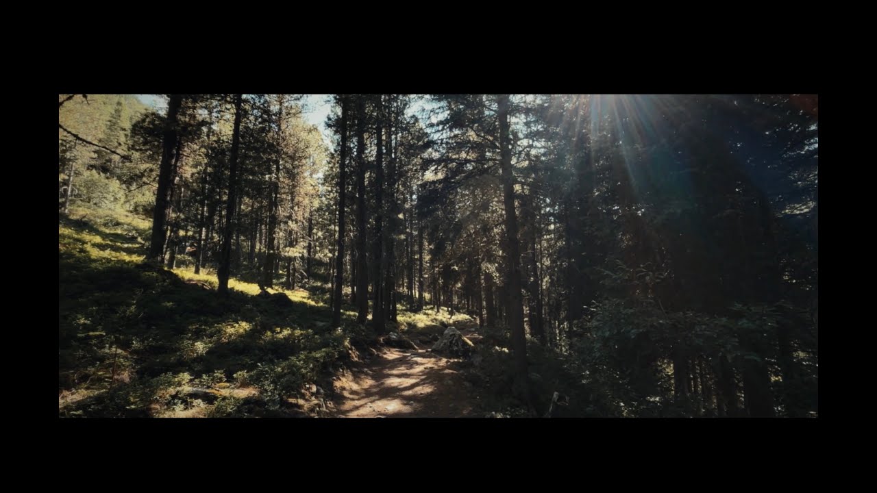 Cinematic video with iPhone 15 in Pro res 4.2.2 10 bit Color grade Dehancer