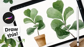 How To Draw: Watercolor Fiddle Leaf Fig Tree • Procreate Tutorial