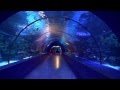 ANTALYA  AQUARIUM / The world’s biggest tunnel aquarium