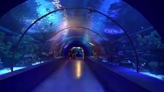 ANTALYA  AQUARIUM / The world’s biggest tunnel aquarium