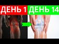 БОЛЬ и ХРУСТ В КОЛЕНЯХ,АРТРОЗ|ТРЕНИРОВКА ДЛЯ ЗДОРОВЫХ КОЛЕННЫХ СУСТАВОВ