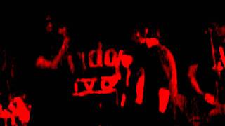 Fallen Symphony - Dark Veil