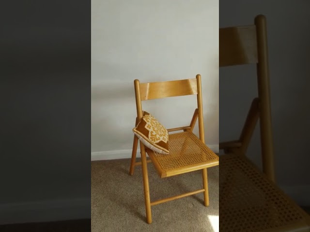 Video 1:
