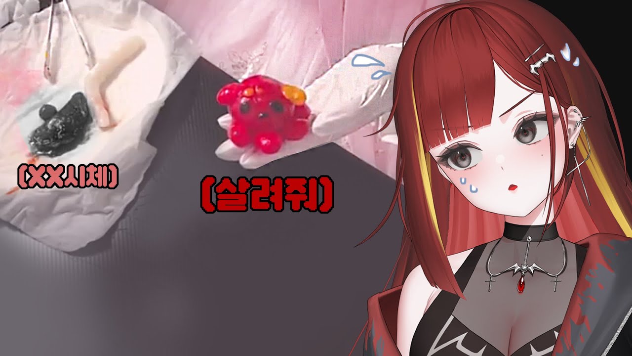 시청자 8000명이 경악한 쿡방