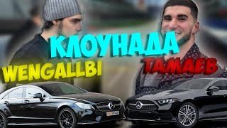 Венгалби vs Асхаб Тамаев | КЛОУНАДА