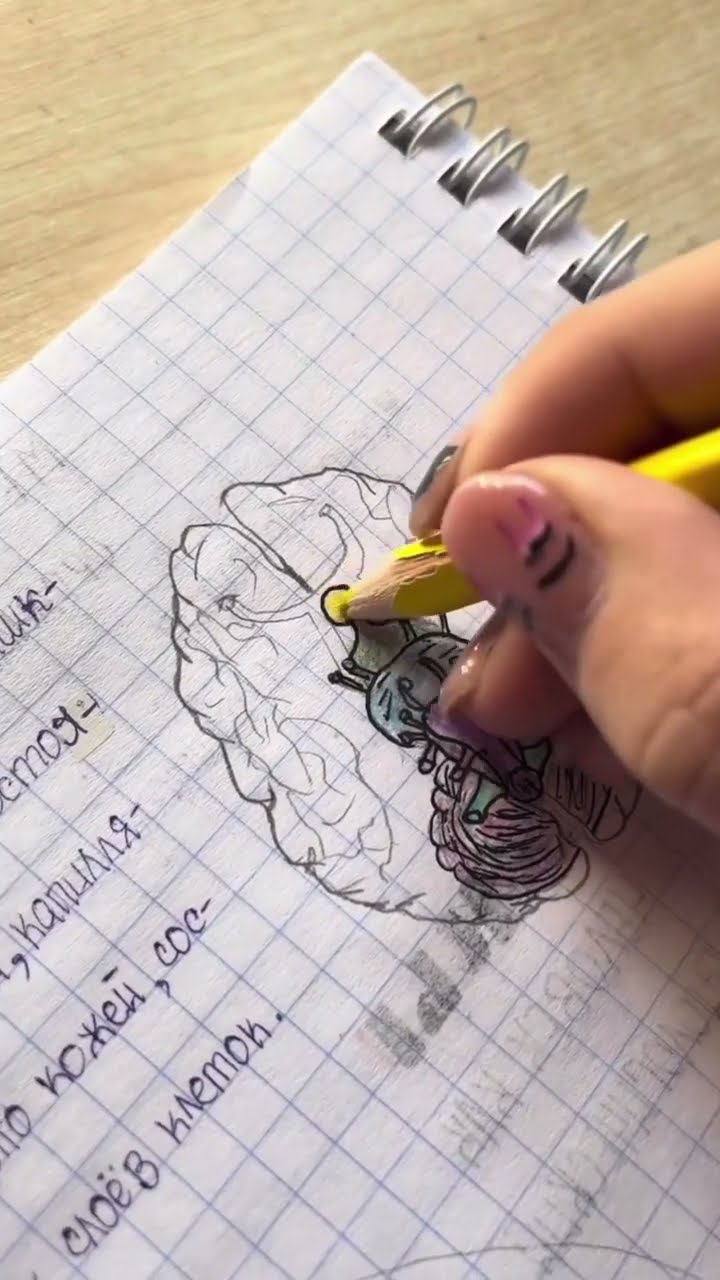 моя олимпиада что нарисовать