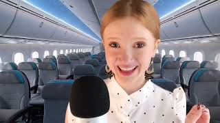 Asmr Sy Flight Attendant Rp Part 2