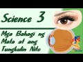 Pag-unawa sa mga Bahagi ng Mata at ang Kanilang Tungkulin