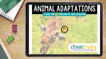 Science: Animal Adaptations (demo)