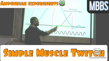 Simple Muscle Twitch, Skeletal muscle- Amphibian Experiments #mbbs #practical