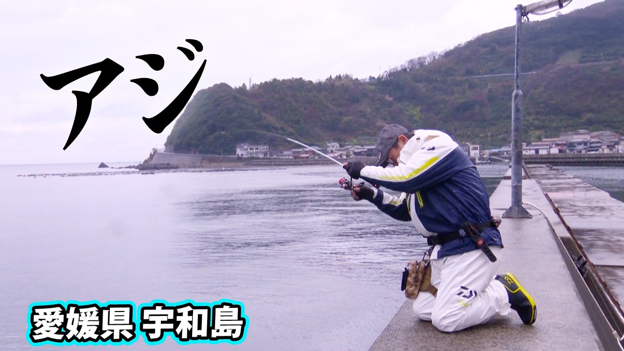 春の宇和島でアジング！難しい季節をどう釣る？ 『アジングへ行こう！ 9』【釣りビジョン】