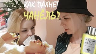 KOREA VLOG: АРОМАТЫ ЧАНЁЛЯ, МИЛЫЙ МАРКЕТ И НОВЫЙ ПОХОД В KAMONG